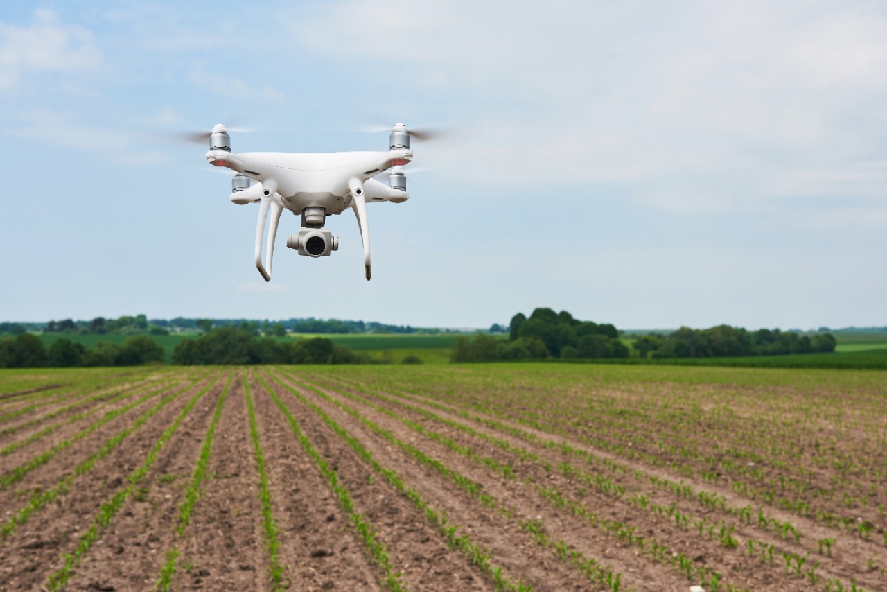 O papel de tecnologia e marketing para o produtor rural