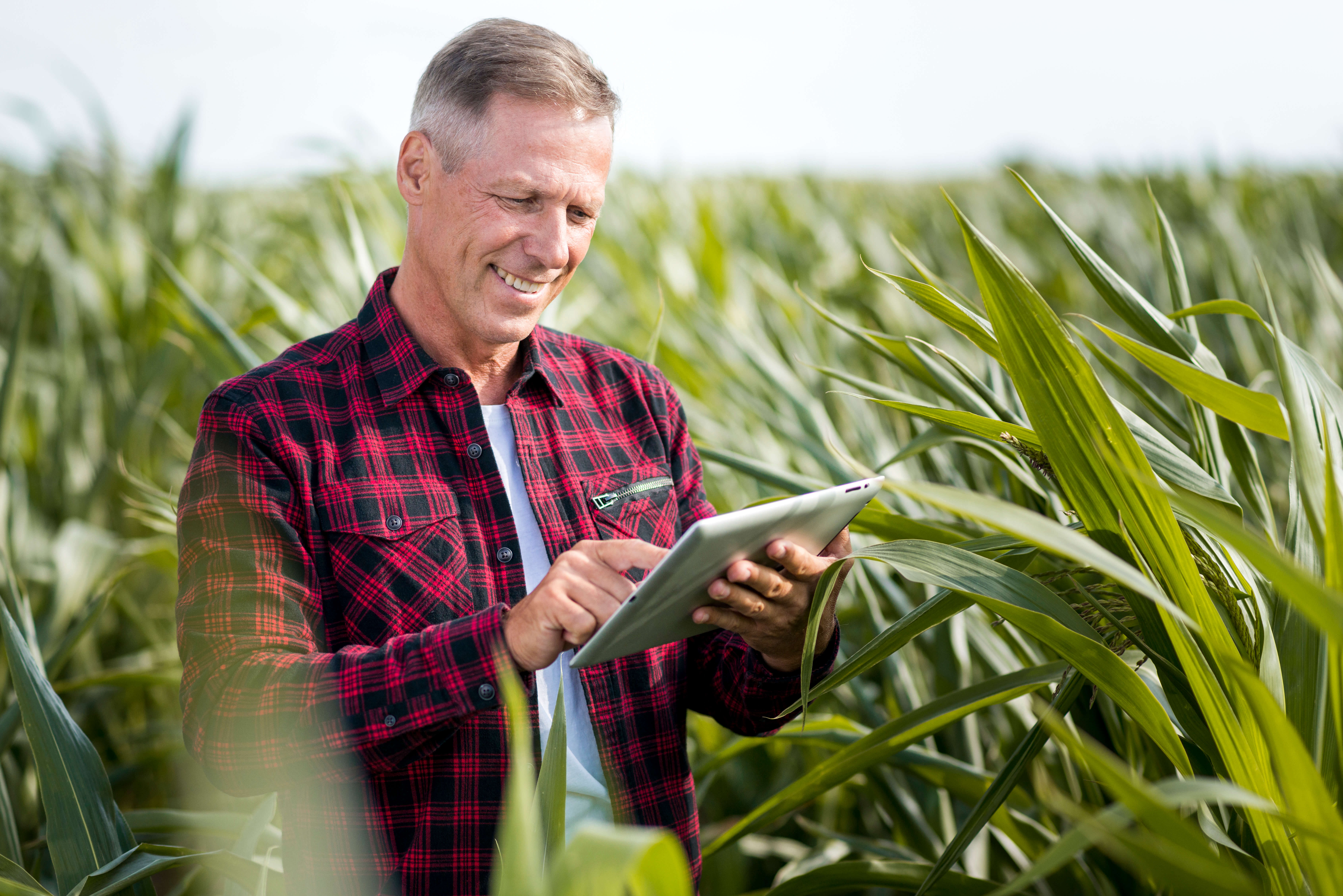 Canais digitais fazem parte das compras no agronegócio