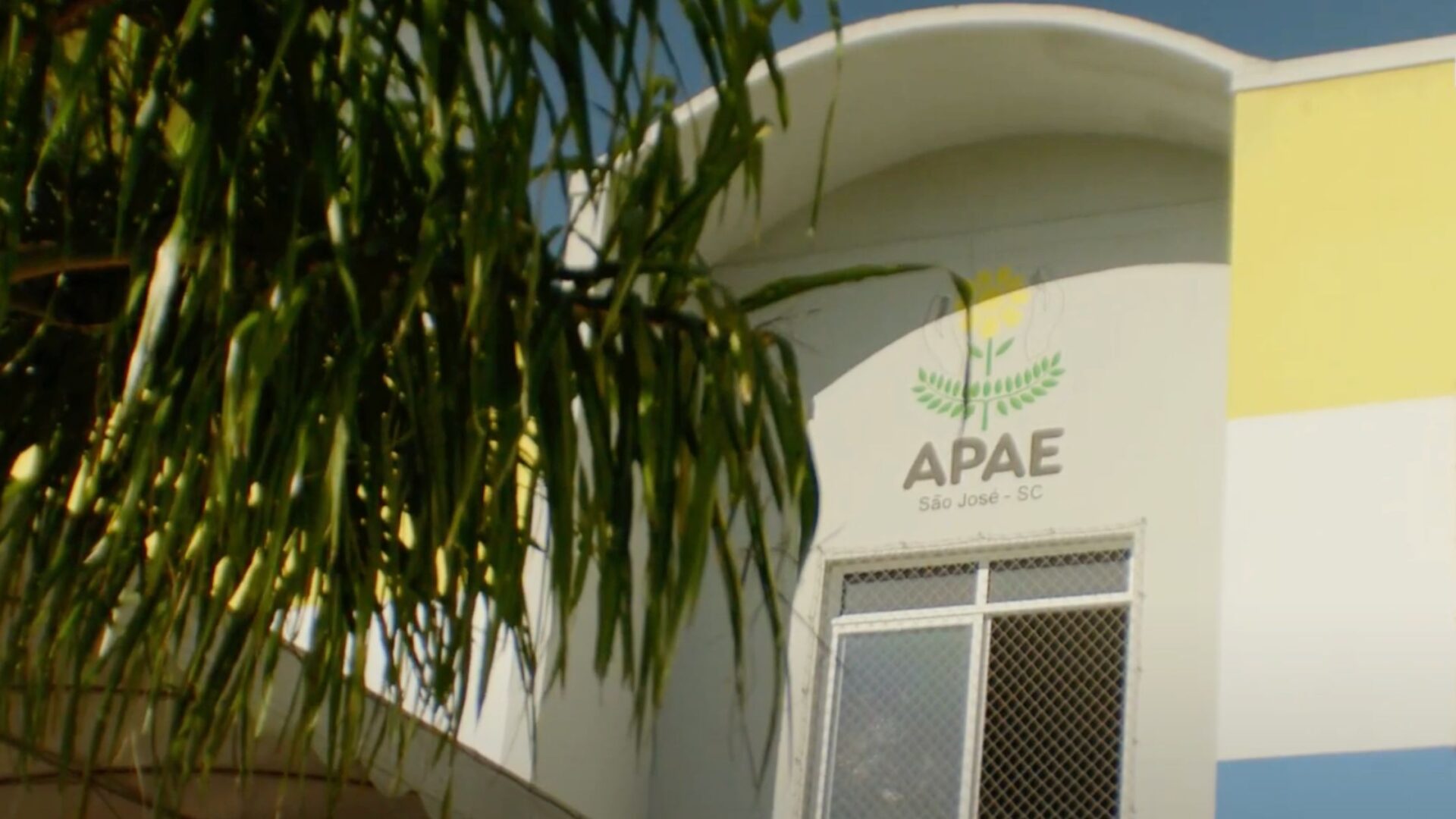 APAE de São José amplia sede para atender 580 PCDs