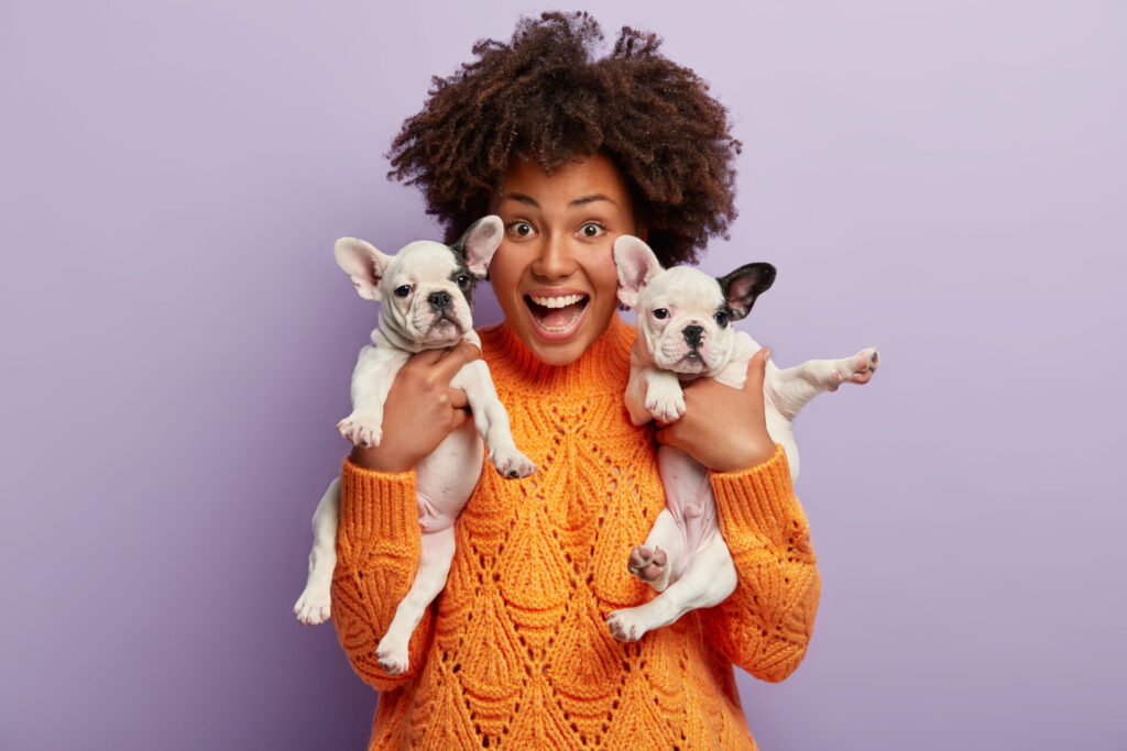 Mercado pet: os gastos dos brasileiros com animais de estimação