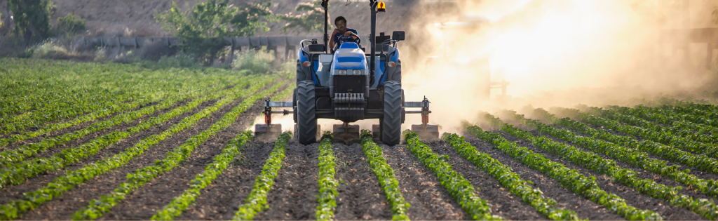 Produção agropecuária de Santa Catarina atinge R$ 75,1 bilhões